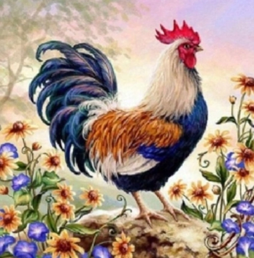 Norimpex Peinture par numéros Coq dans les fleurs 40 × 50 cm