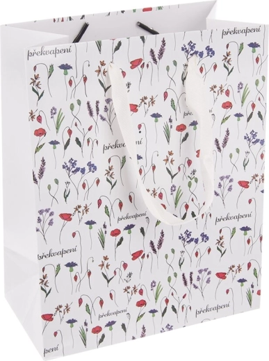 Sac cadeau en papier Surprise (CZ) 18 × 10 × 23 cm