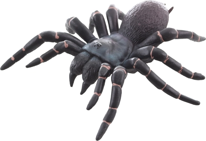 Idéale pour l’apprentissage et la décoration