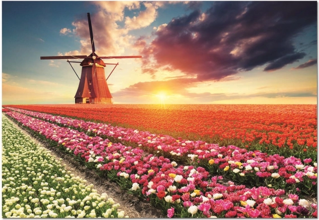 Puzzle Pays des tulipes 1500 pièces de EDUCA