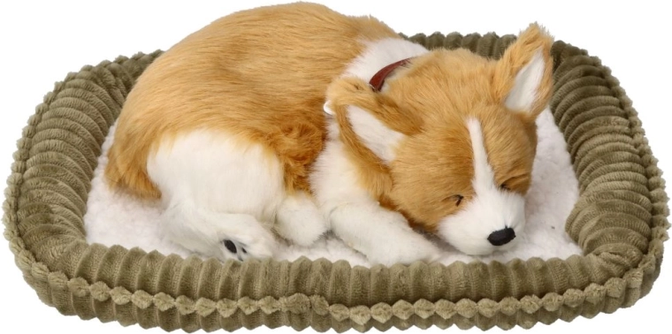 Chiot CORGI qui respire – peluche réaliste