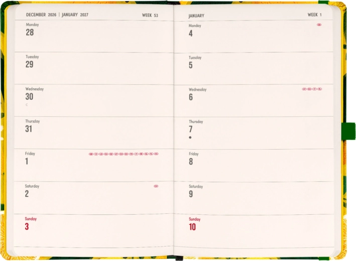 Calendrier horizontal sur quatorze jours pour une vue claire