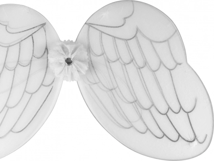 Accessoire pour le carnaval et les spectacles