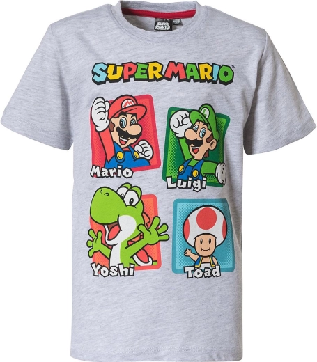 Les héros préférés de Super Mario