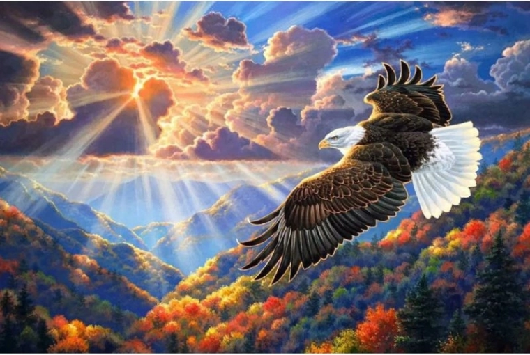 Mosaïque diamant (diamond painting) aigle dans le ciel 40 × 30 cm