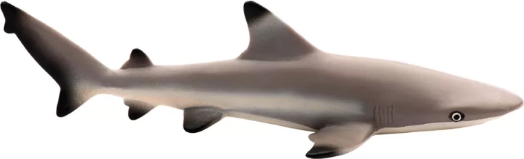 Safari Ltd. Requin à pointes noires - 1 pièce
