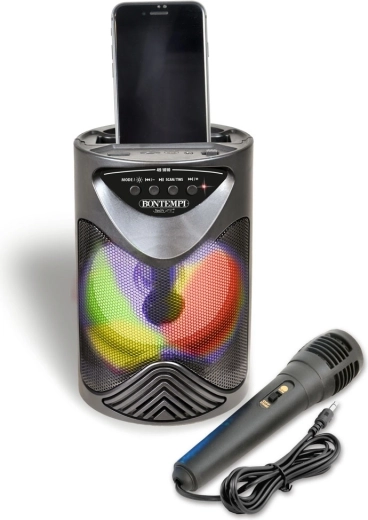 Karaoké avec microphone inclus