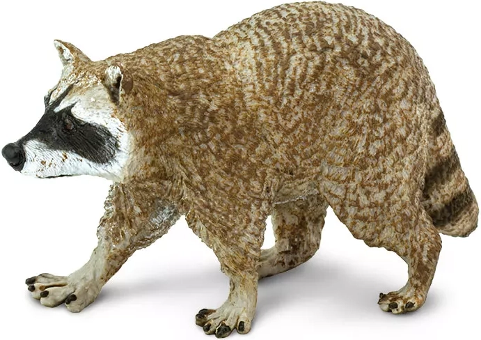 Figurine de raton laveur (Nord) Safari Ltd.