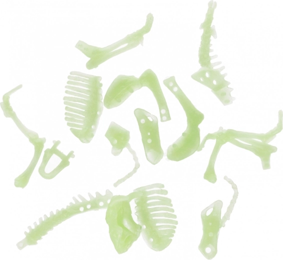 Assemble ton propre dinosaure