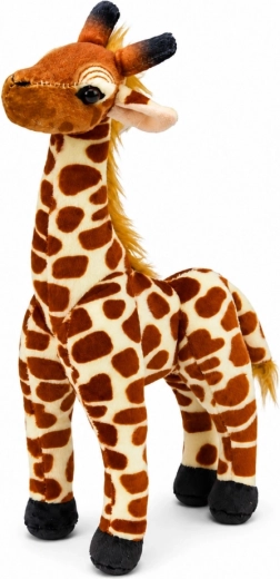 Taille pratique de 30 cm