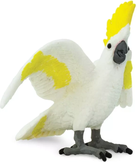 Détails réalistes du cacatoès