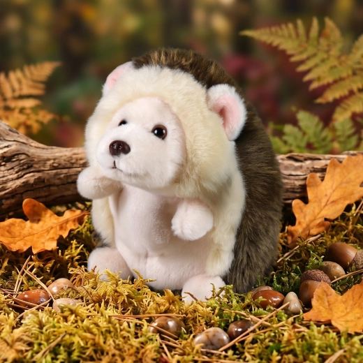 Petit compagnon pour tous les jours