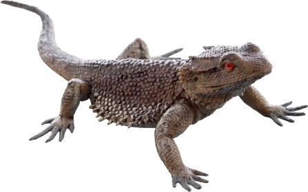 Lézard en plastique – figurine réaliste pour enfants