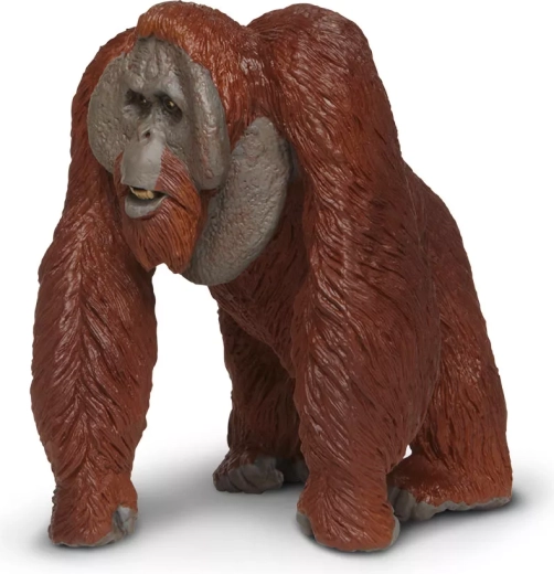 Une figurine pour les petits et les grands explorateurs