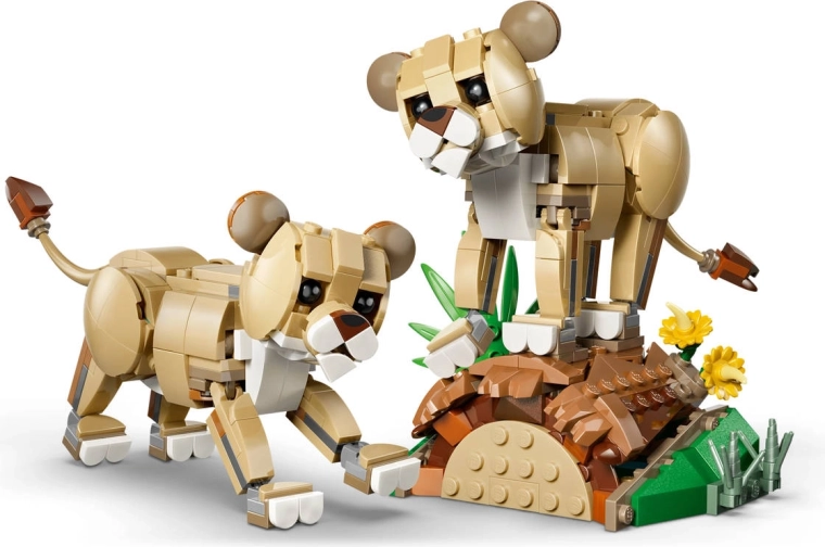 Un adorable duo de lionceaux