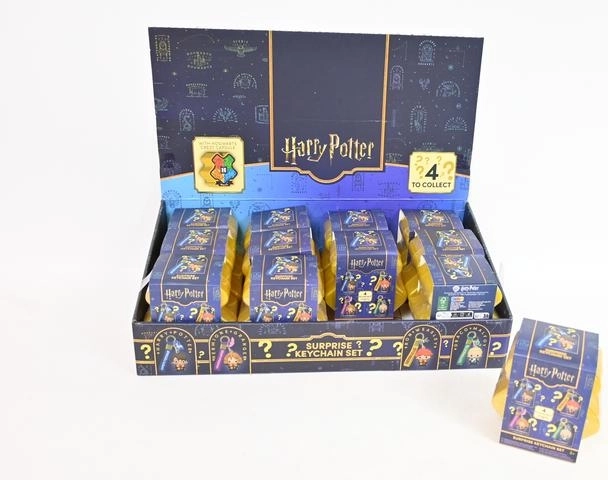 Porte-clés collector surprise Harry Potter (1 pièce)