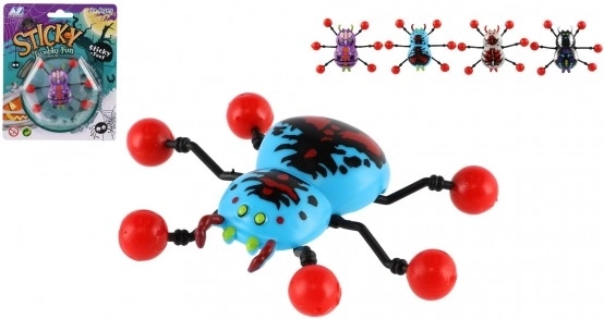 Araignée Rampe le long du Verre