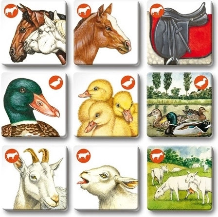 Trois jeux dans une seule boîte