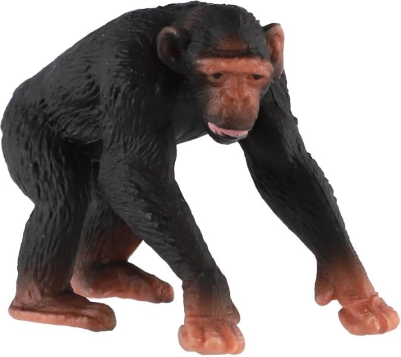 Représentation réaliste du chimpanzé