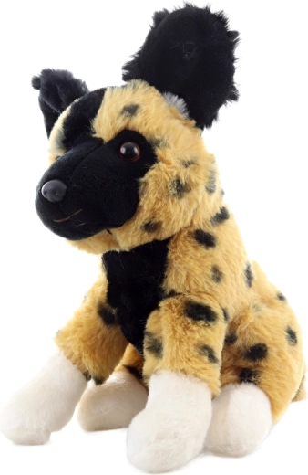 Dimensions compactes à la maison comme en voyage