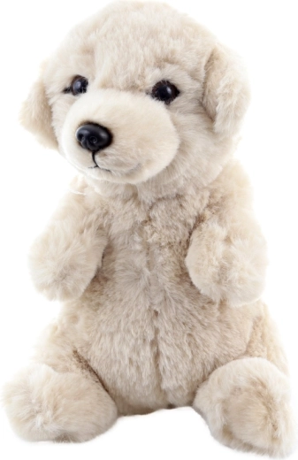 Sûr dès la naissance