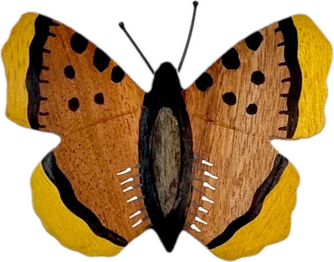 Magnet en bois papillon grand 2Kids Toys