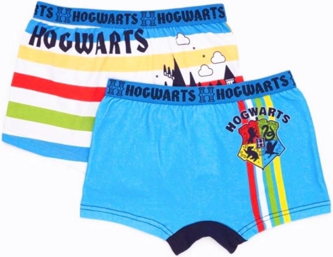 Harry Potter boxers en duo