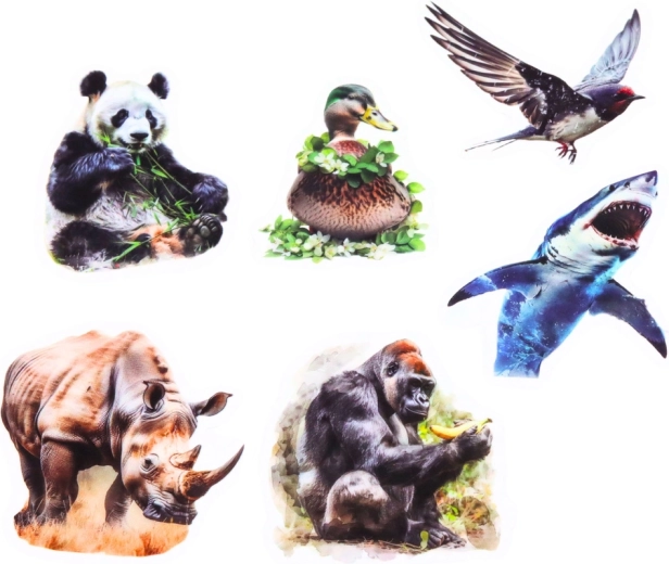 Fond transparent pour un rendu net