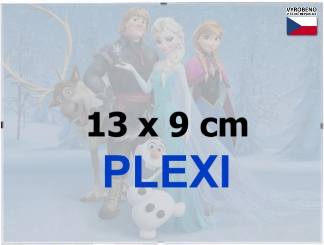 BFHM cadre clip euroclip 13 × 9 cm (plexiglas)