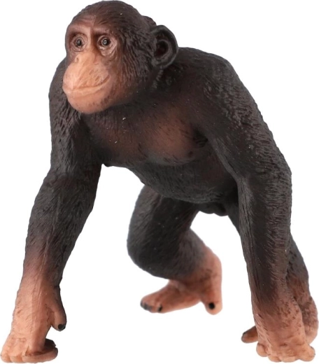 Posture à quatre pattes pour des scènes naturelles
