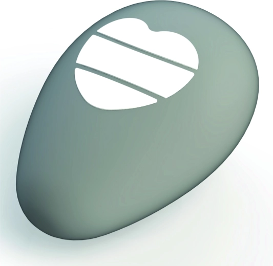 Thermomètre numérique de bain Shnuggle Pebbly