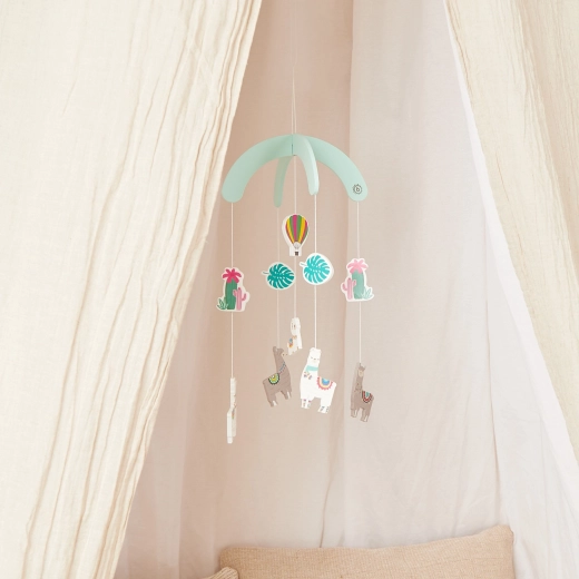 Design apaisant avec lama, ballon et cactus