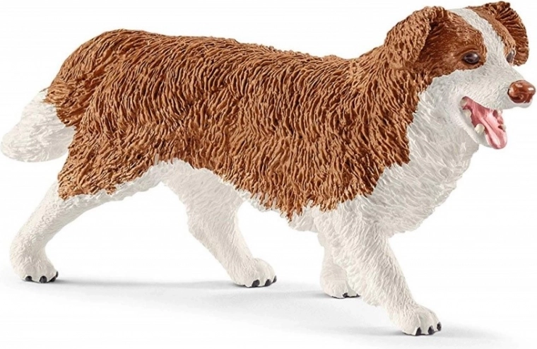 Soin des animaux avec la chienne Ruby