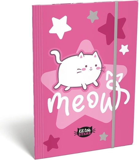 Chemises à rabats A4 LizzyCard Kit tok