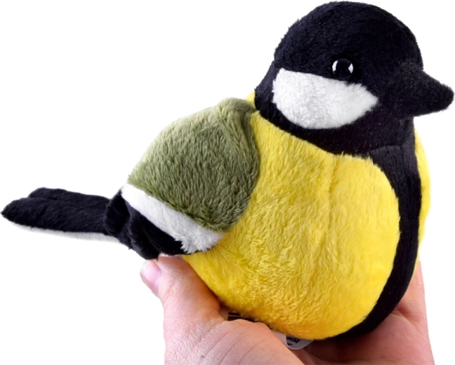 Taille compacte 13 cm