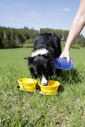 Étanchéité fiable sans fuites