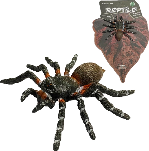 Nature vivante : modèle réaliste d’araignée White Knee Spider (8 cm) - 1 pièce