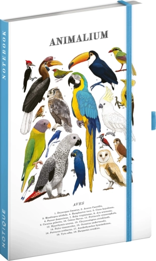 Notique Notes Animalium – carnet ligné Oiseaux 13 × 21 cm