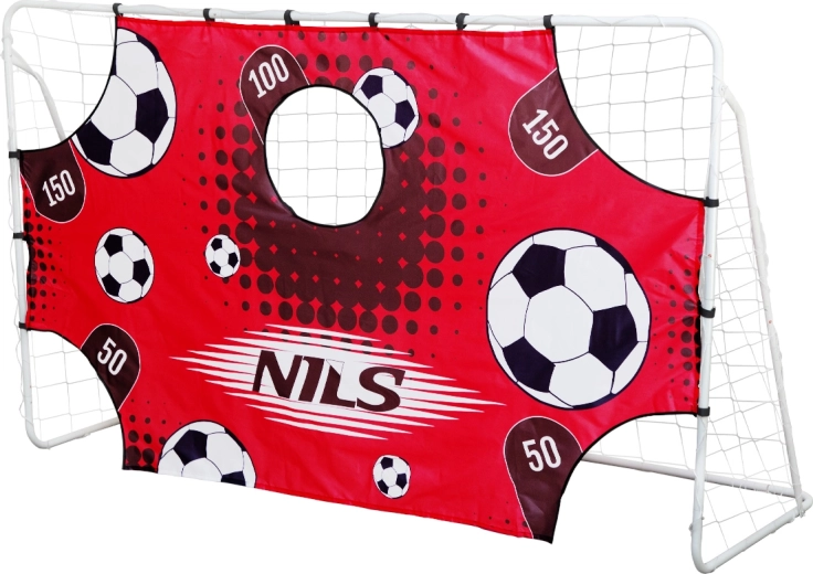 But de football en acier avec panneau d’entraînement NILS BR240P