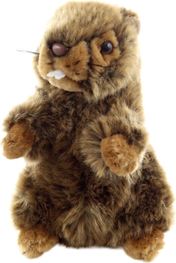 Conception écoresponsable