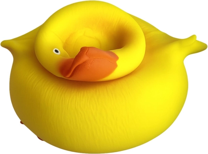 Couleur éclatante et design ludique