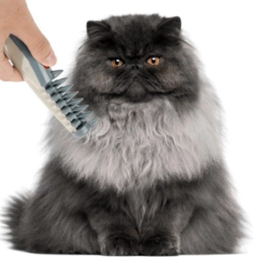 Pratique pour les chiens et les chats