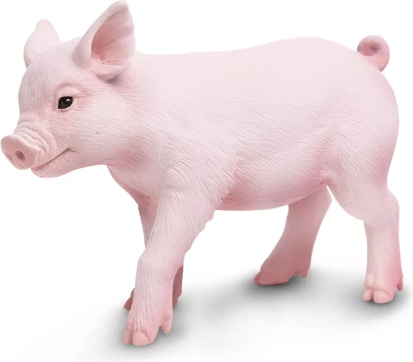 Safari Ltd. figurine de porcelet - 1 pièce