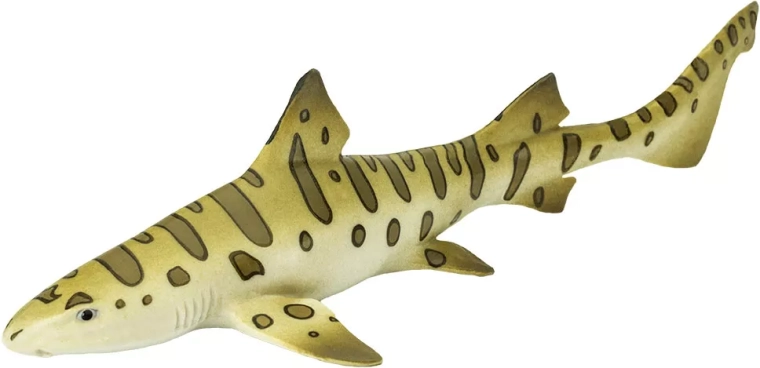 Marque Safari Ltd. – apprendre en jouant