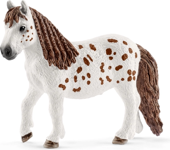 Poney Shetland Spotty avec des détails soignés