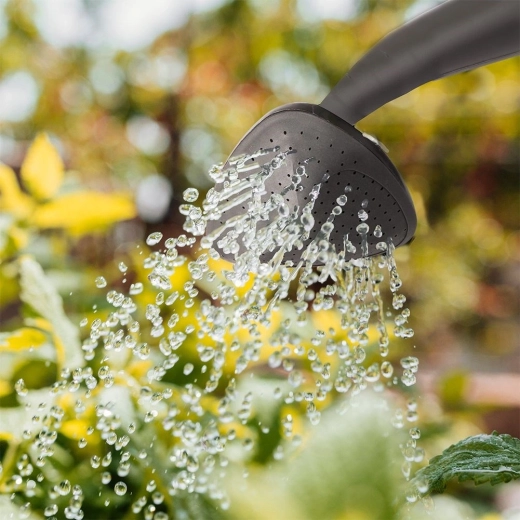 Arrosage fin ou jet continu