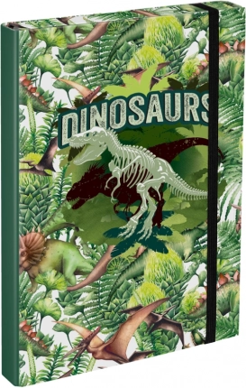 BAAGL Chemise pour cahiers scolaires A4 Dinosaure