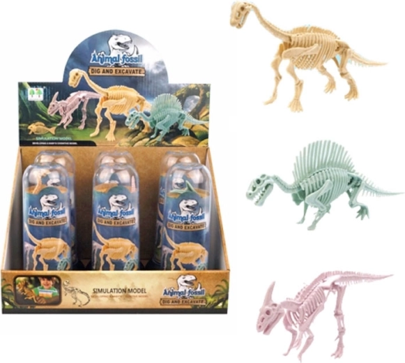 Squelette de dinosaure dans un tube transparent