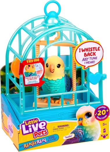 Cage avec poignée de transport