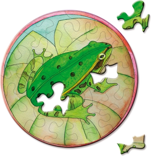 CURIOSI mini puzzle ronds Picoli Rainette 33 pièces